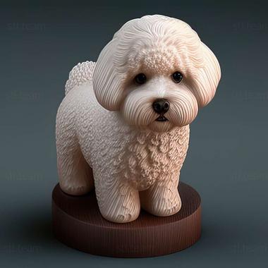 3D model Bichon frise dog (STL)